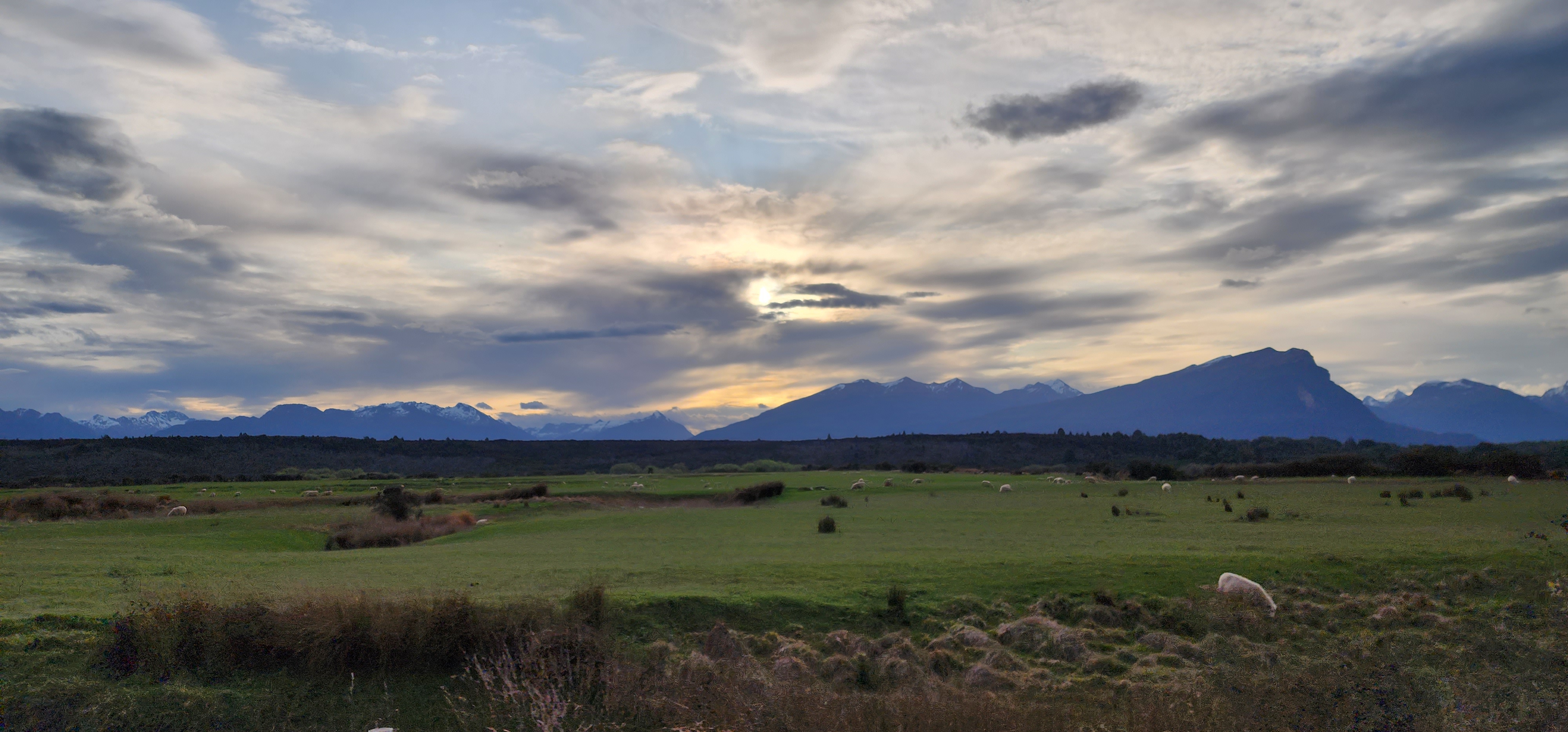 Early morning over a grass land with distance mountains and sheep grazing.